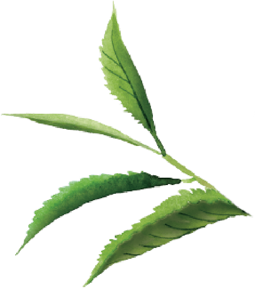 Vintea